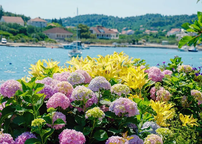 9325a * לומבארדה